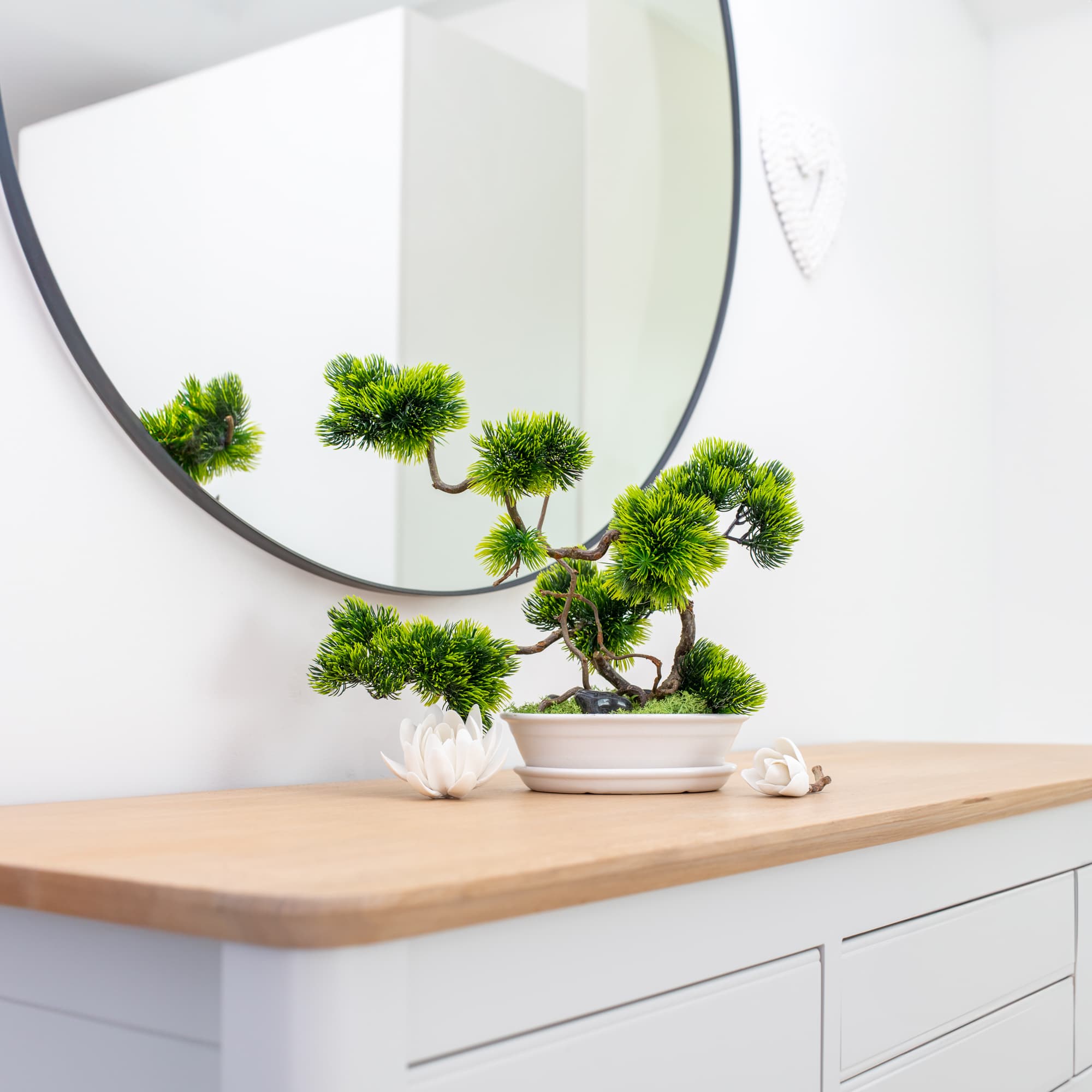 Bonsai