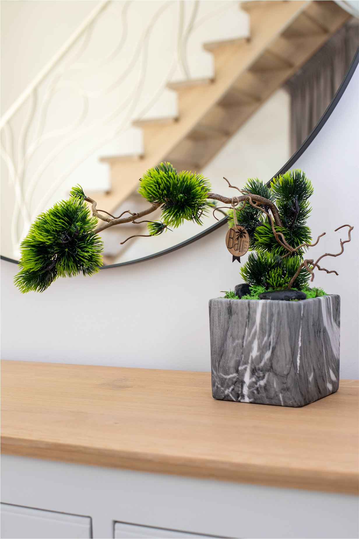 Bonsai Tree "Cliff"