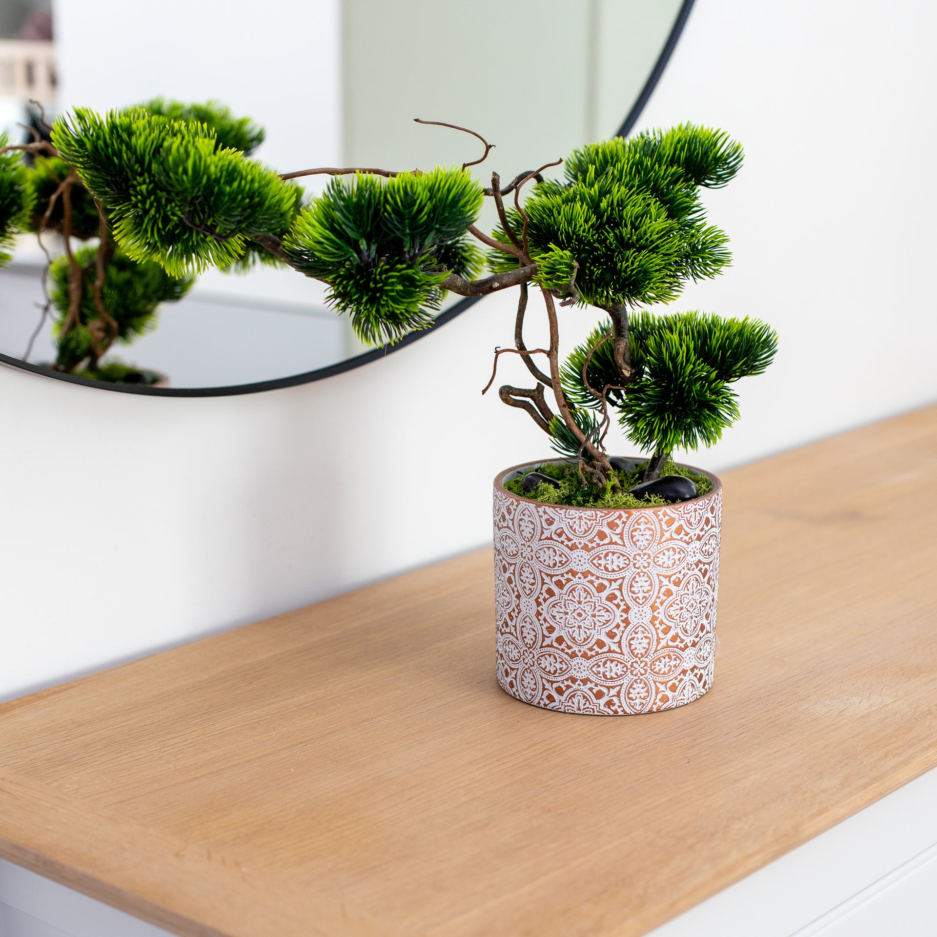 Bonsai Tree "Modern"