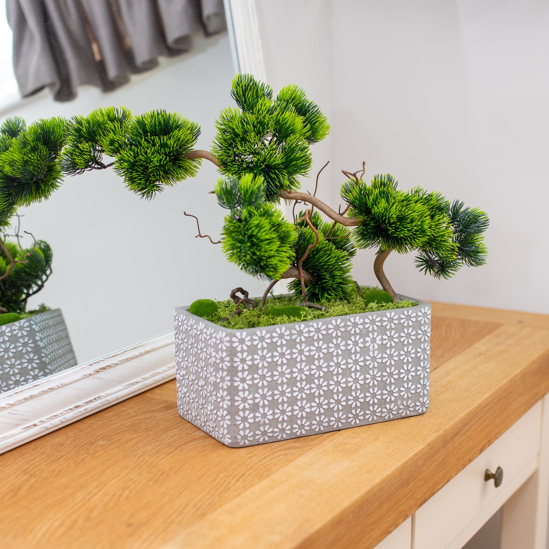 Bonsai Tree "Modern"