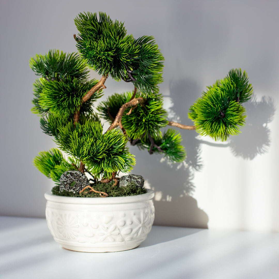 Bonsai Tree "Warmth"