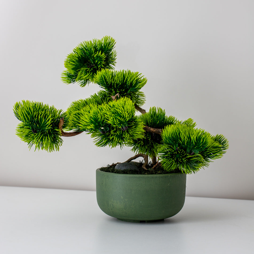 Bonsai Tree "Serenity"